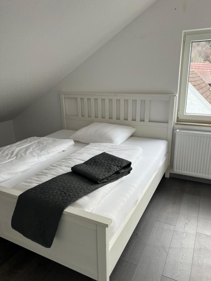 Unique Geraeumige 2 Zimmerwohnung In Tuttlingen Mit Netflix, Sauna Und Fitness エクステリア 写真